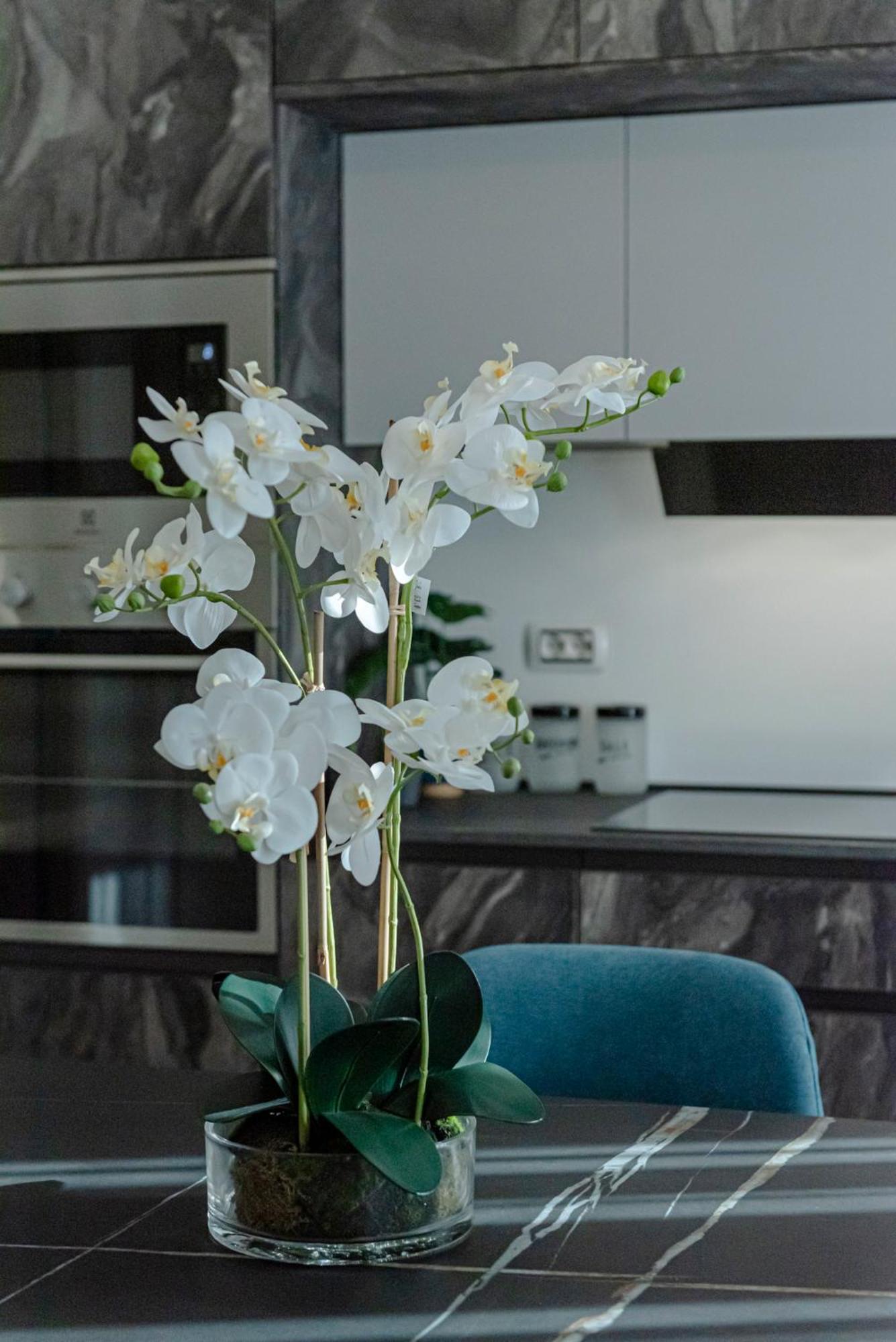 Bed & Breakfast Il Narciso Roma Ngoại thất bức ảnh