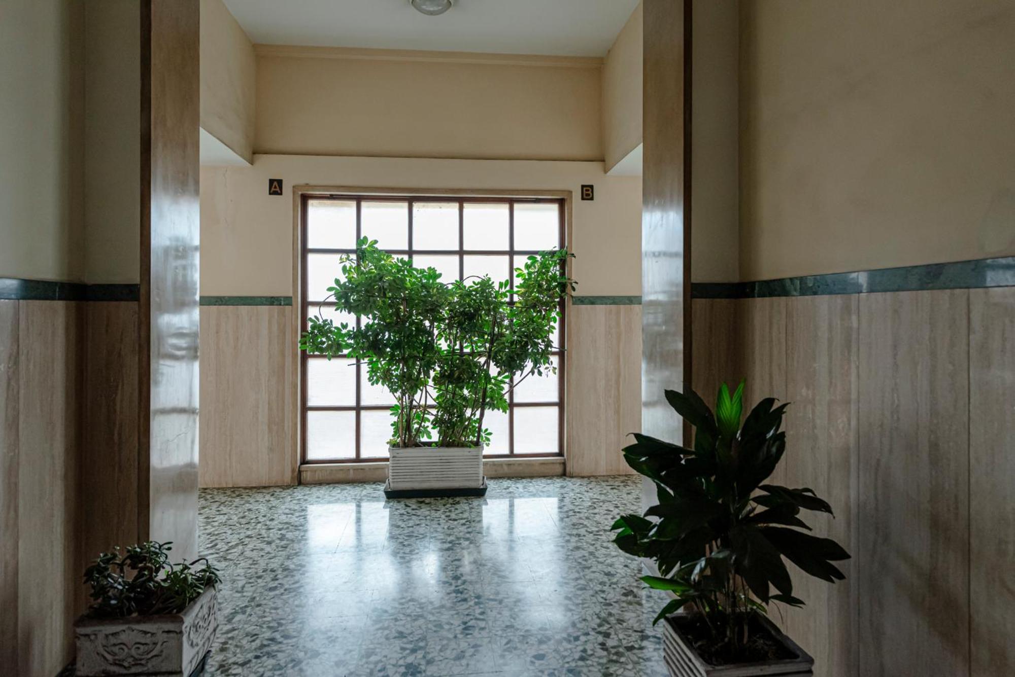 Bed & Breakfast Il Narciso Roma Ngoại thất bức ảnh